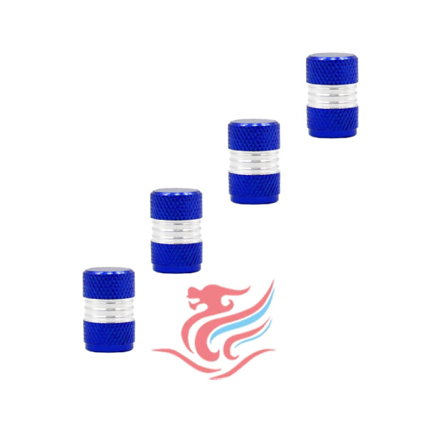 Καπάκια Βαλβίδων Αυτοκινήτου Σετ 4τμχ XM-W06503-2-BL Μπλε