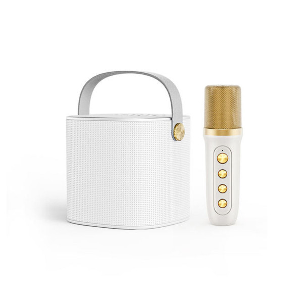 Mini Σύστημα Karaoke με Ασύρματο Μικρόφωνο Bluetooth - TF - USB - AUX YS-101 Λευκό