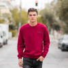 MEN'S BLOUSE SWEATSHIRT CREWNECK MOHICANS 836904 BORDO