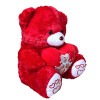 Mohicans Teddy Bear with I Love You Valentine's Day Heart 50cm 1440-82343 Red