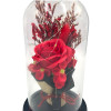 Μπουκέτο με Παντοτινό Τριαντάφυλλο με LED 82631 Κόκκινο