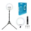 Ring Light 18'' 43cm 3200-5800K με Τρίποδο Δαπέδου 80cm-200cm  και Βάση για Κινητό CXB-460 Μαύρο