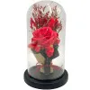 Μπουκέτο με Παντοτινό Τριαντάφυλλο με LED 82631 Κόκκινο